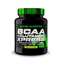 Scitec Nutrition BCAA + Glutamine Xpress (600 g)