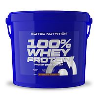 Scitec Nutrition 100% Whey Protein (5 kg)